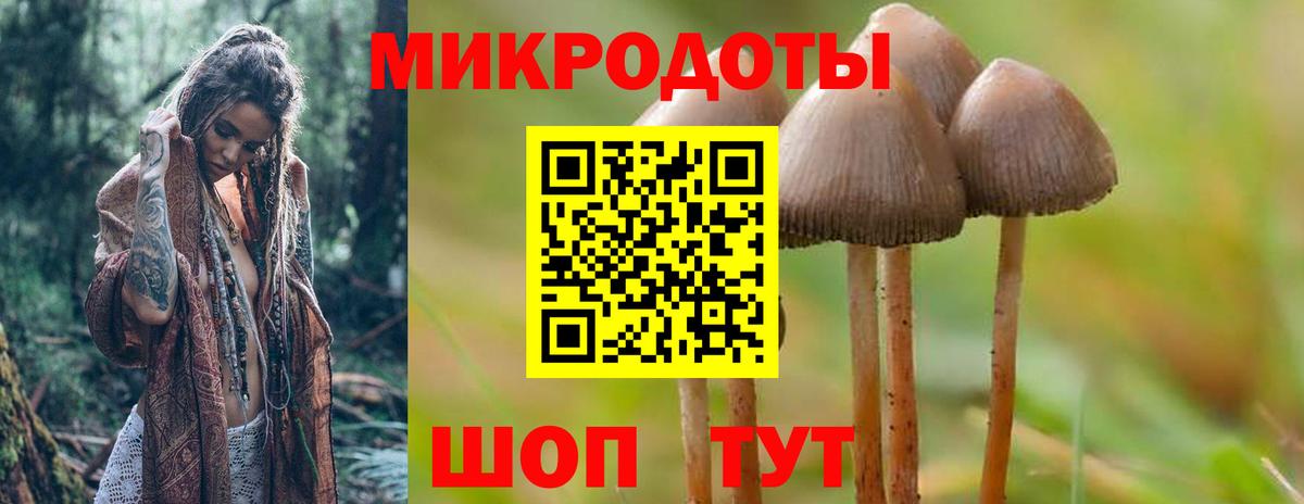Галлюциногенные грибы Magic Shrooms Железноводск